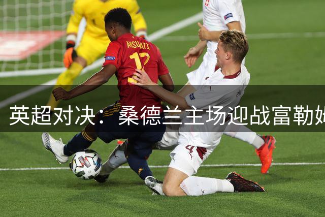 英超对决：桑德兰主场迎战富勒姆，主队占优